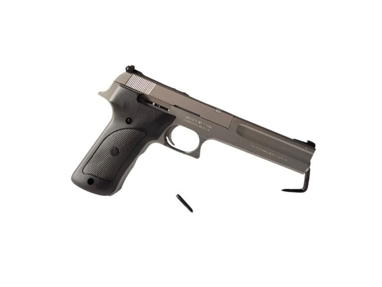 Smith & Wesson 2206 | Stan dobry - — zdjęcie 4 z 6