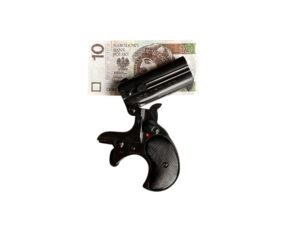 Röhm Derringer RG15S | Stan dobry — zdjęcie 3 z 7