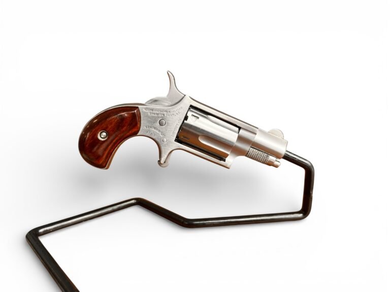 North American Arms Mini-Revolver Inox | Stan bardzo dobry — zdjęcie 6 z 6