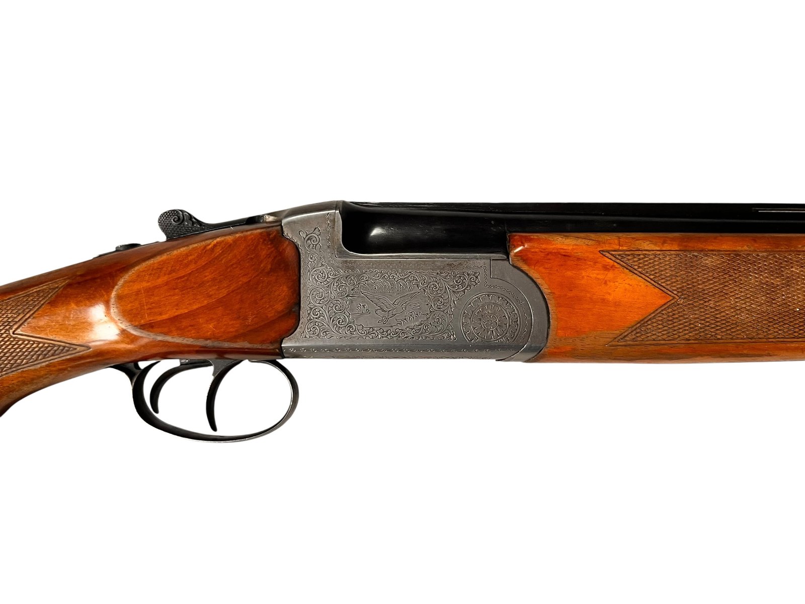 Gamba | Stan średni