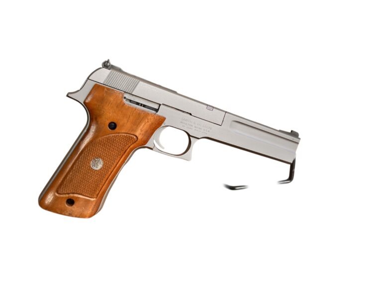 Smith & Wesson 2206 | Stan bardzo dobry — zdjęcie 4 z 8